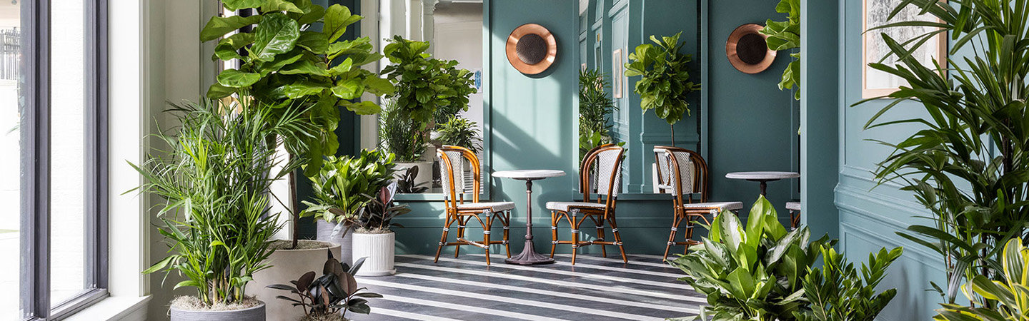 Kimpton Hotels & Restaurants Banner Image