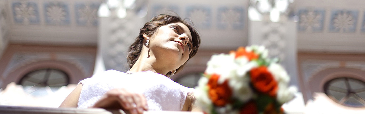 Vignette Collection banner image